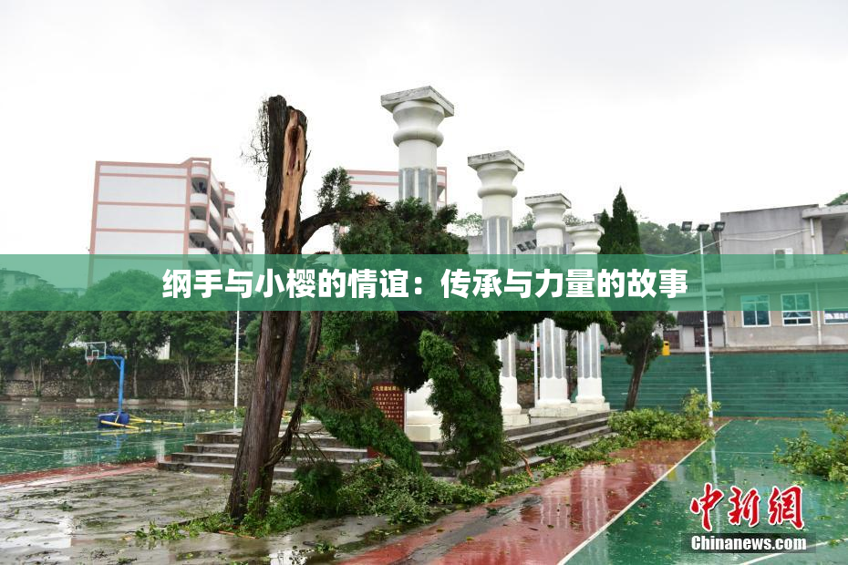 纲手与小樱的情谊：传承与力量的故事