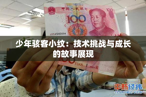少年骇客小纹：技术挑战与成长的故事展现