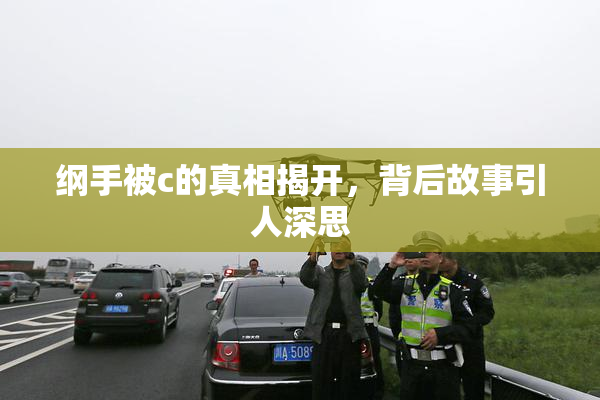 纲手被c的真相揭开，背后故事引人深思