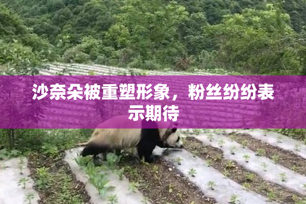 沙奈朵被重塑形象，粉丝纷纷表示期待
