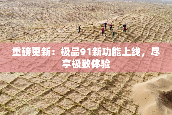重磅更新：极品91新功能上线，尽享极致体验