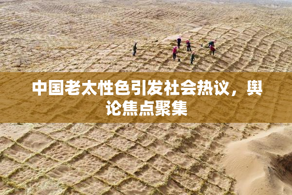 中国老太性色引发社会热议，舆论焦点聚集