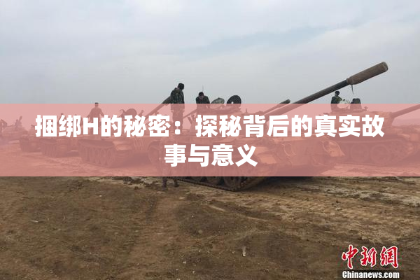 捆绑H的秘密：探秘背后的真实故事与意义