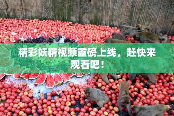 精彩妖精视频重磅上线，赶快来观看吧！