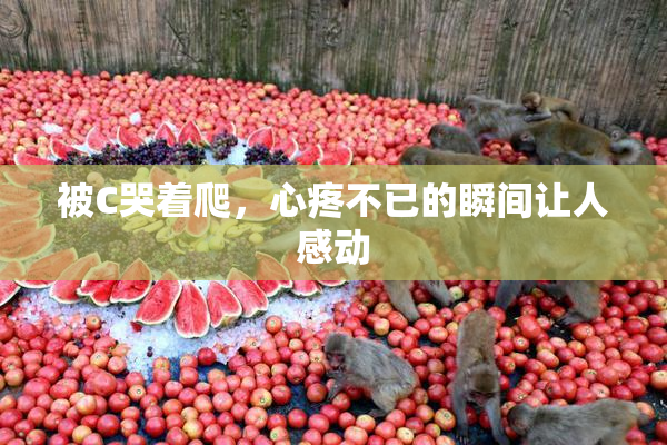 被C哭着爬，心疼不已的瞬间让人感动