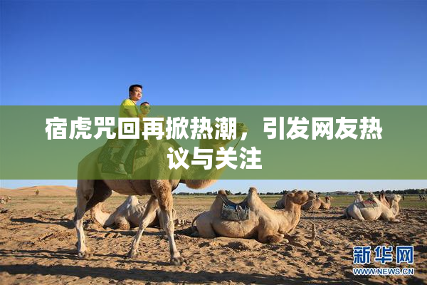 宿虎咒回再掀热潮，引发网友热议与关注