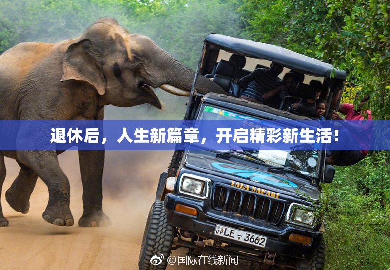退休后，人生新篇章，开启精彩新生活！