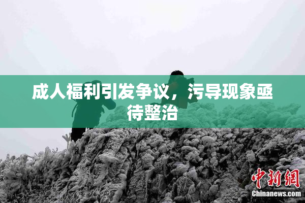 成人福利引发争议，污导现象亟待整治