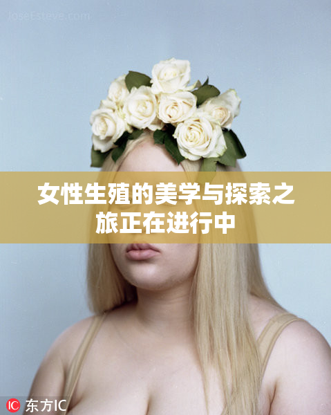 女性生殖的美学与探索之旅正在进行中