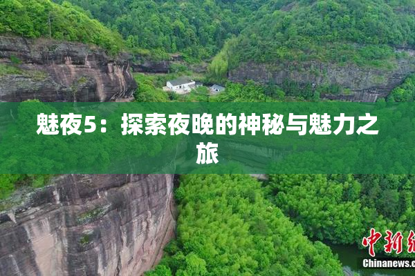 魅夜5：探索夜晚的神秘与魅力之旅