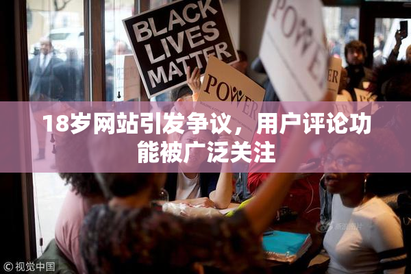 18岁网站引发争议，用户评论功能被广泛关注