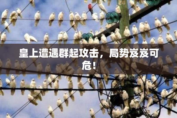 皇上遭遇群起攻击，局势岌岌可危！