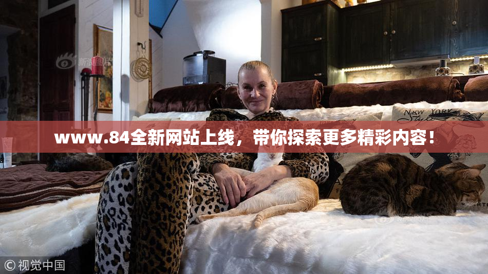 www.84全新网站上线，带你探索更多精彩内容！