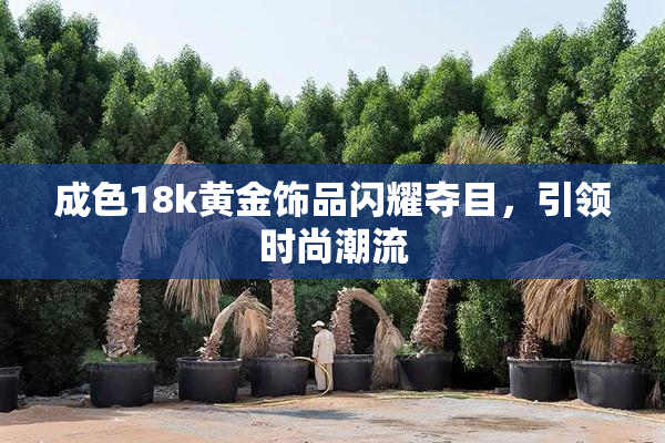 成色18k黄金饰品闪耀夺目，引领时尚潮流