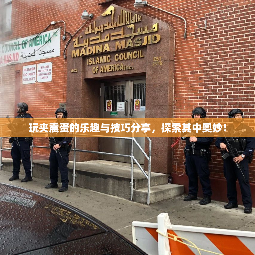 玩夹震蛋的乐趣与技巧分享，探索其中奥妙！