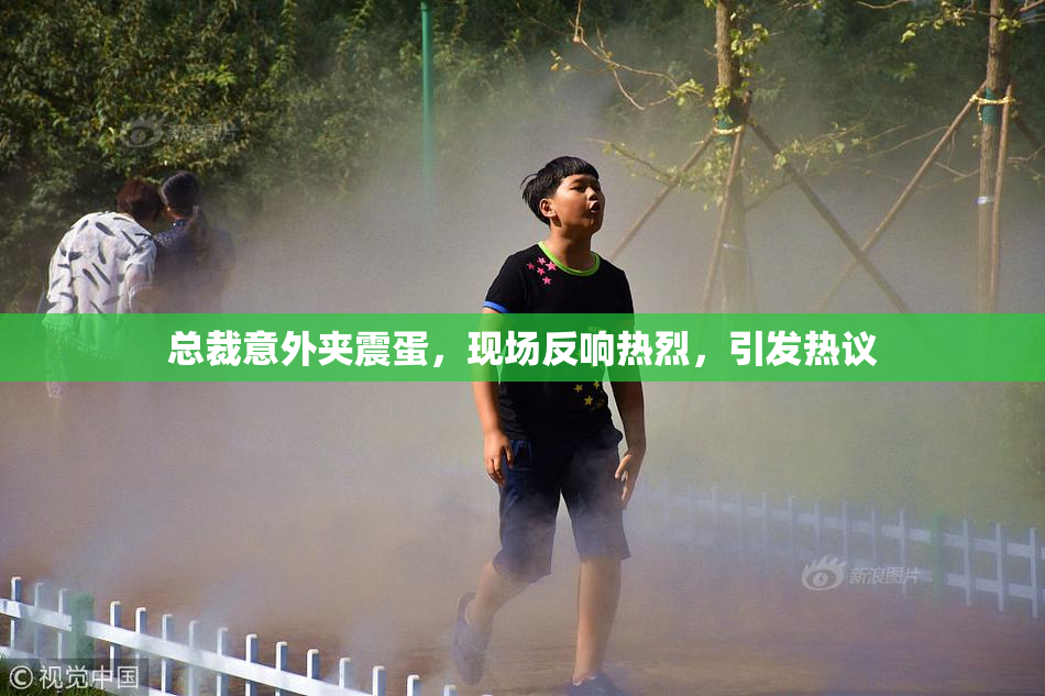 总裁意外夹震蛋，现场反响热烈，引发热议