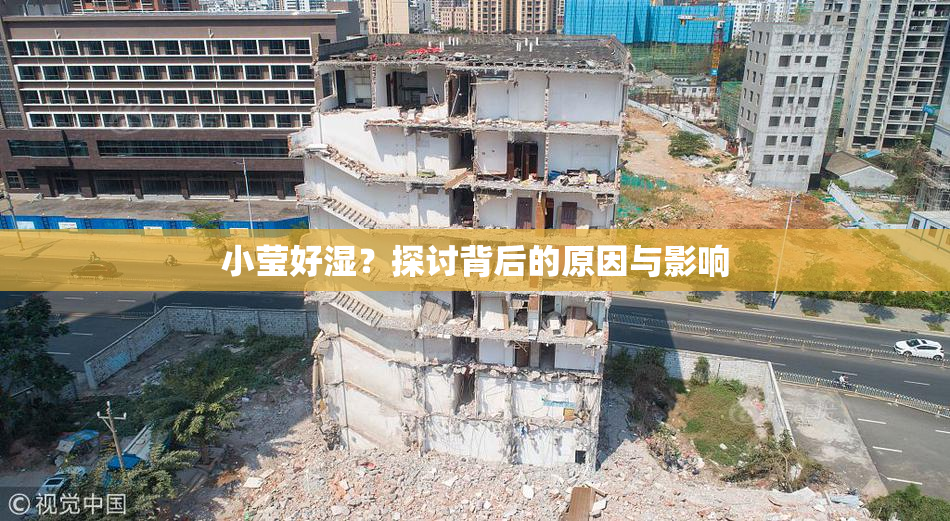 小莹好湿？探讨背后的原因与影响