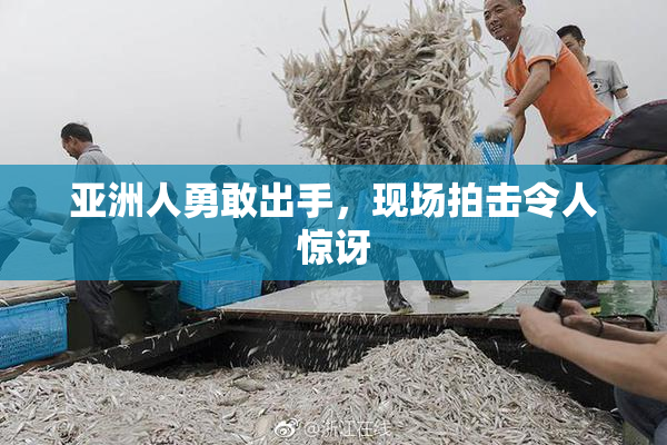 亚洲人勇敢出手，现场拍击令人惊讶