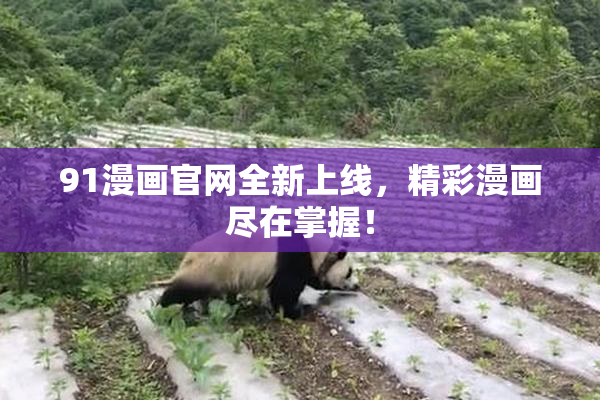 91漫画官网全新上线，精彩漫画尽在掌握！