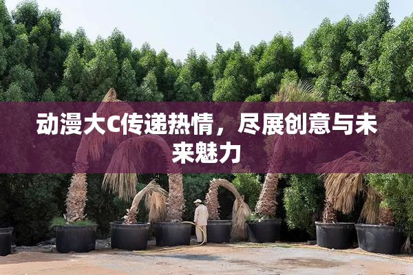 动漫大C传递热情，尽展创意与未来魅力