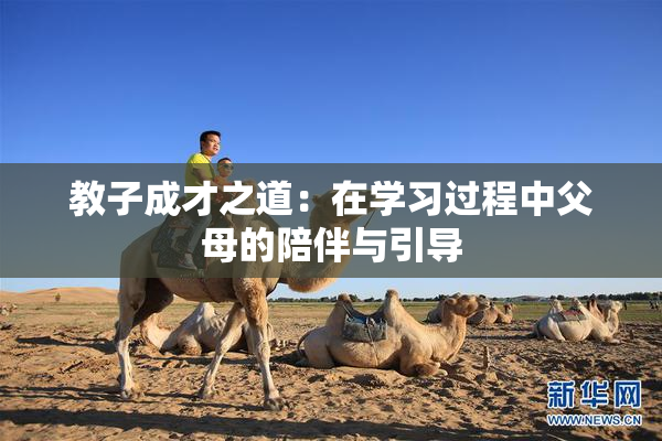 教子成才之道：在学习过程中父母的陪伴与引导