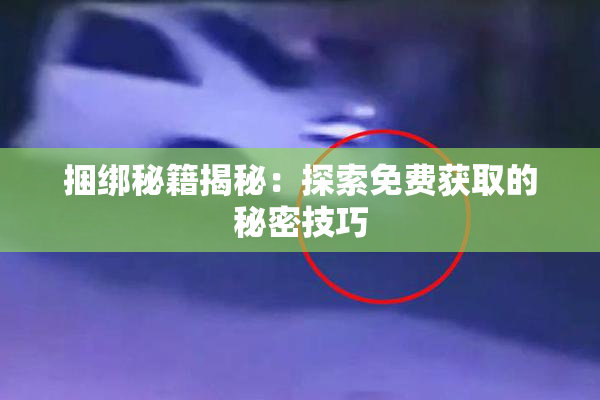 捆绑秘籍揭秘：探索免费获取的秘密技巧