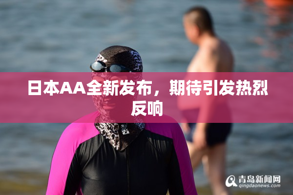 日本AA全新发布，期待引发热烈反响