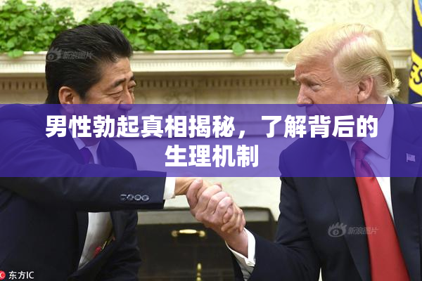 男性勃起真相揭秘，了解背后的生理机制