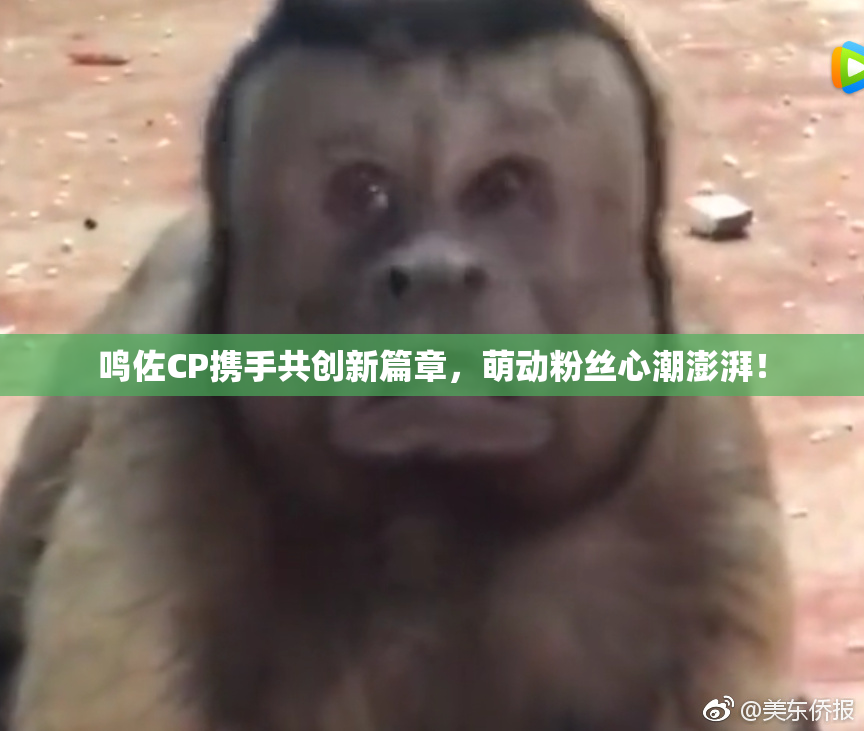 鸣佐CP携手共创新篇章，萌动粉丝心潮澎湃！