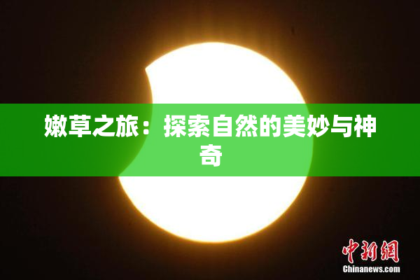 嫩草之旅：探索自然的美妙与神奇