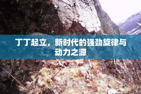 丁丁起立，新时代的强劲旋律与动力之源