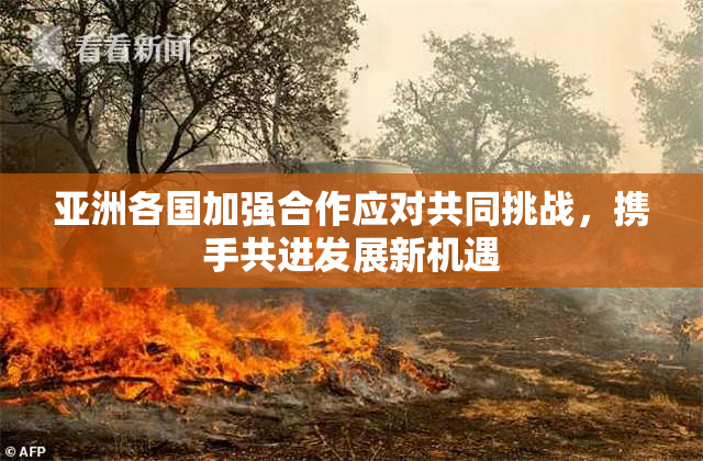 亚洲各国加强合作应对共同挑战，携手共进发展新机遇