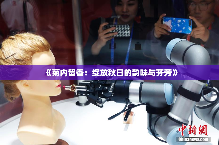 《菊内留香：绽放秋日的韵味与芬芳》