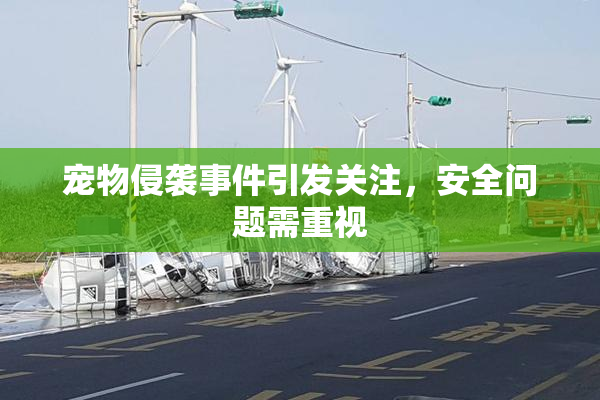 宠物侵袭事件引发关注，安全问题需重视