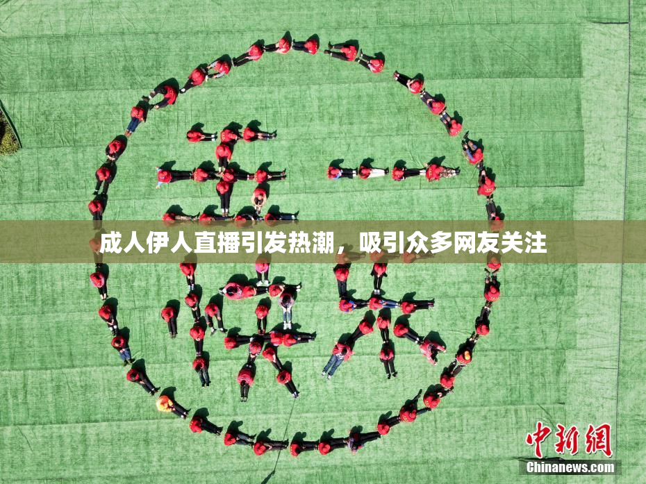 成人伊人直播引发热潮，吸引众多网友关注