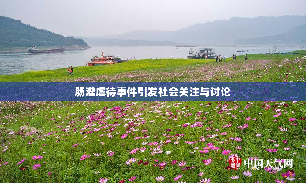 肠灌虐待事件引发社会关注与讨论