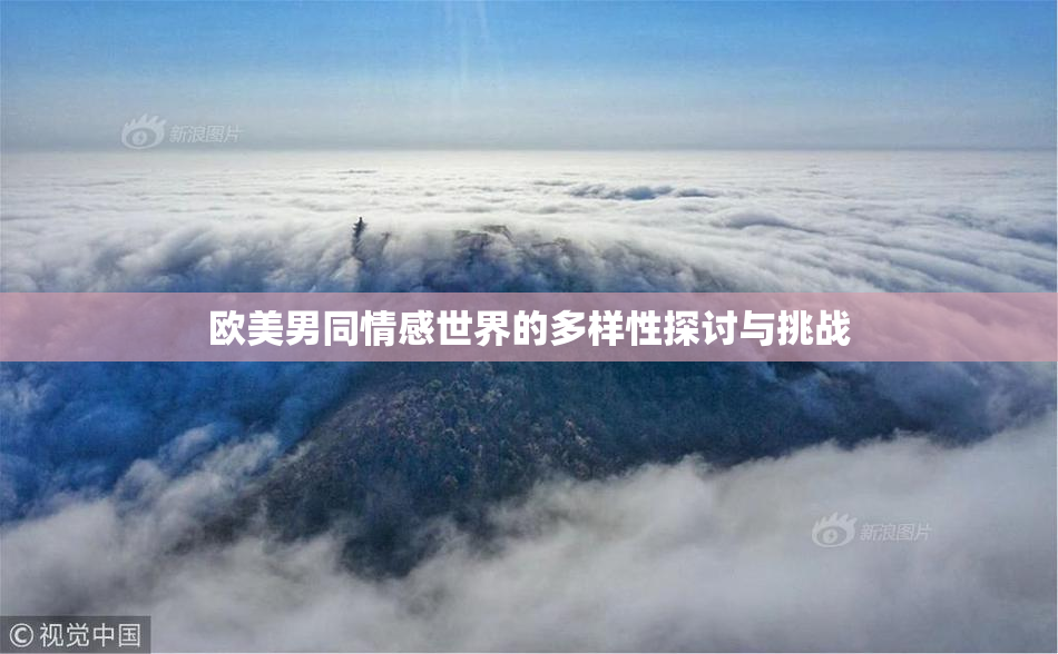 欧美男同情感世界的多样性探讨与挑战