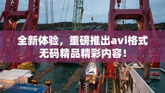 全新体验，重磅推出avi格式无码精品精彩内容！