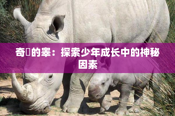 奇犽的睾：探索少年成长中的神秘因素