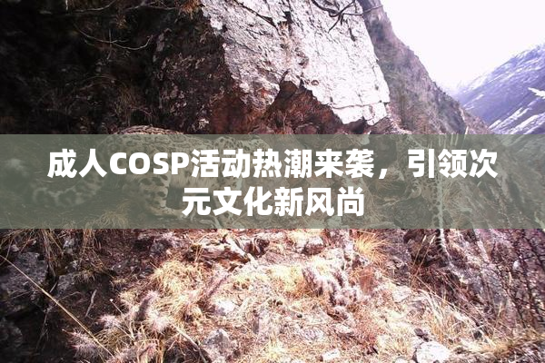成人COSP活动热潮来袭，引领次元文化新风尚