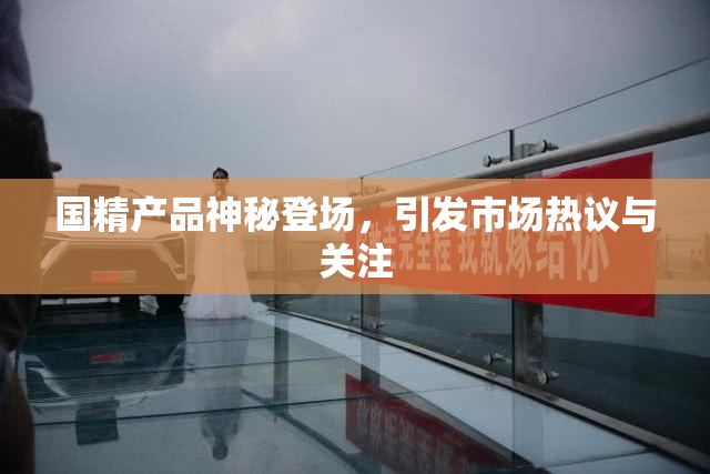 国精产品神秘登场，引发市场热议与关注