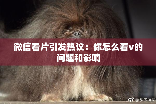 微信看片引发热议：你怎么看v的问题和影响