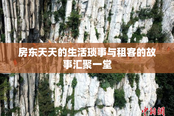 房东天天的生活琐事与租客的故事汇聚一堂