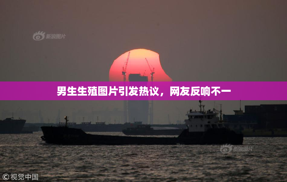男生生殖图片引发热议，网友反响不一