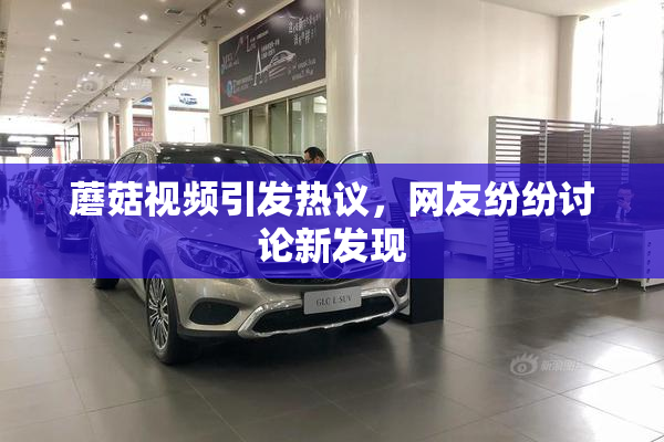 蘑菇视频引发热议，网友纷纷讨论新发现