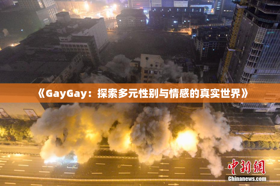 《GayGay：探索多元性别与情感的真实世界》