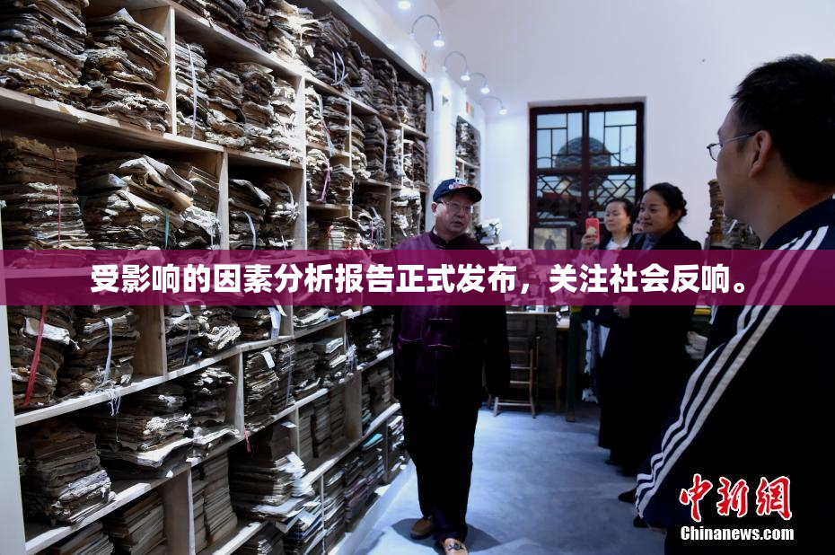 受影响的因素分析报告正式发布，关注社会反响。