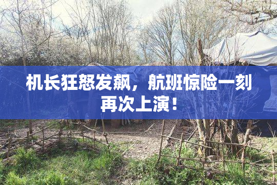 机长狂怒发飙，航班惊险一刻再次上演！