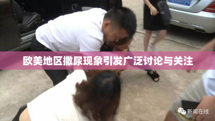 欧美地区撒尿现象引发广泛讨论与关注