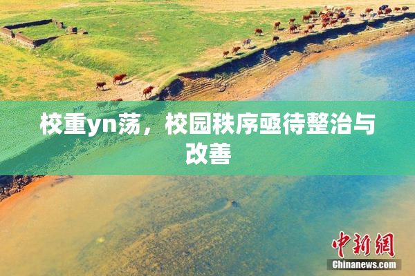 校重yn荡，校园秩序亟待整治与改善